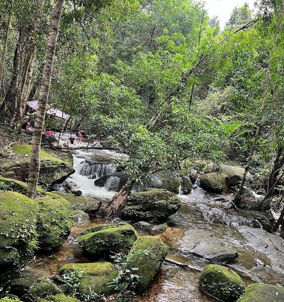 Suối Tranh