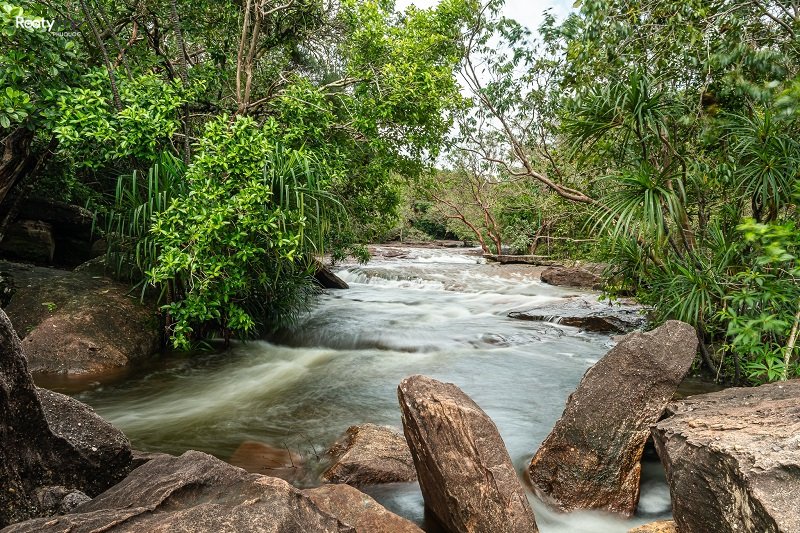 Suối Đá Bàn - Ảnh 3