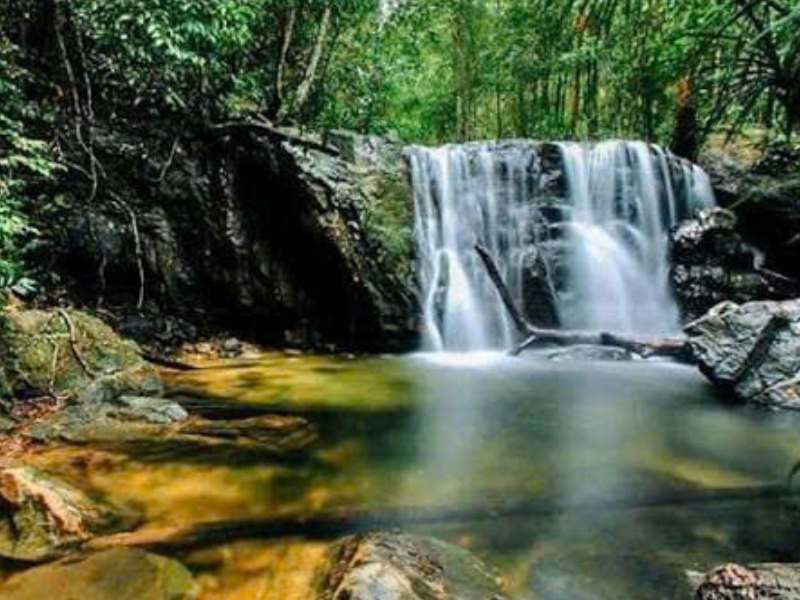 Suối Đá Bàn - Ảnh 2