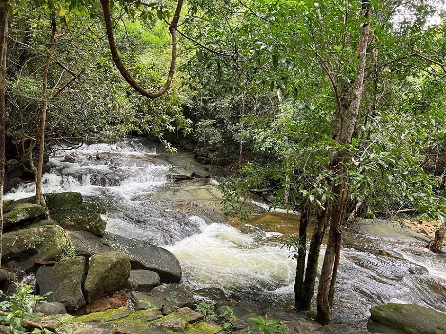 Suối Tranh - Ảnh 4